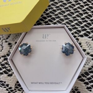 BP Sparkling Blue Hexagon Earrings